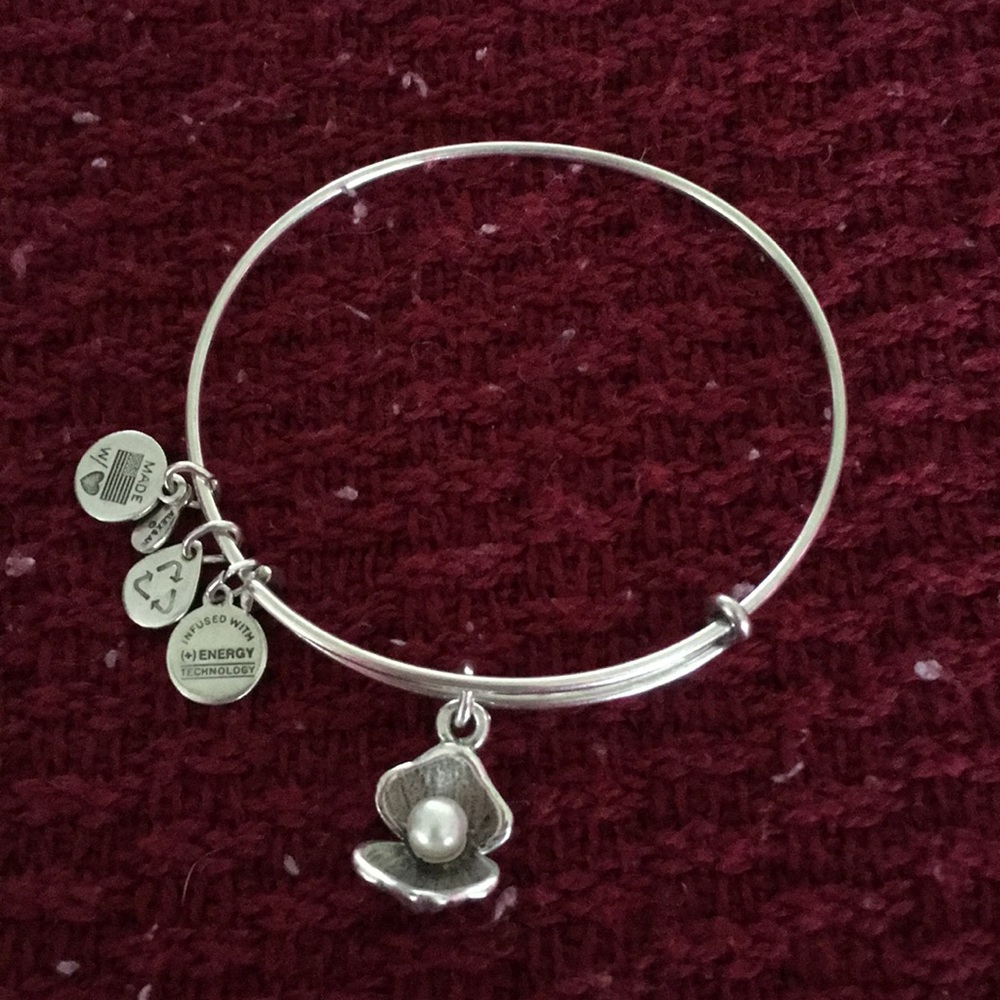 Alex and Ani Bangle Bracelet